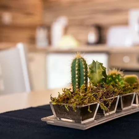 Appartement Riverside With Free Parking *